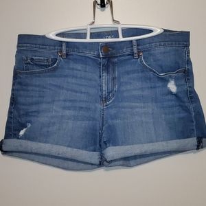 Loft Denim Roll Shorts